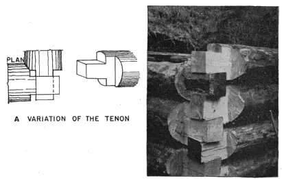 Illustration from the original book