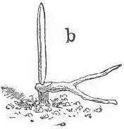 Figure 47