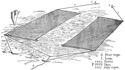 Figure 50