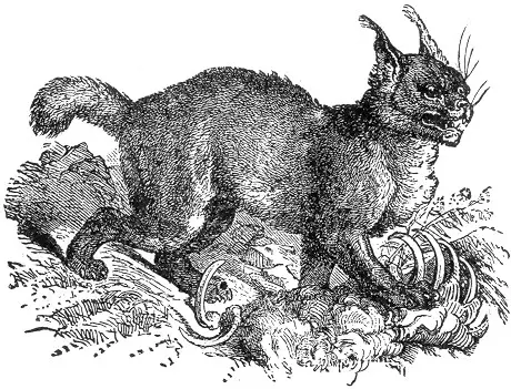 Figure 109