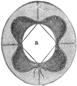 Figure 133