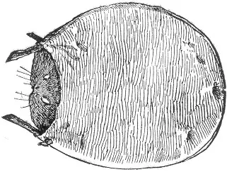 Figure 143