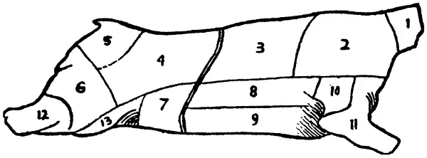Illustration from the original book