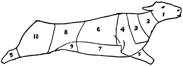 Illustration from the original book