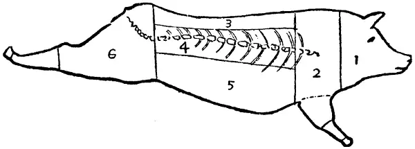 Illustration from the original book
