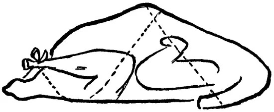 Illustration from the original book