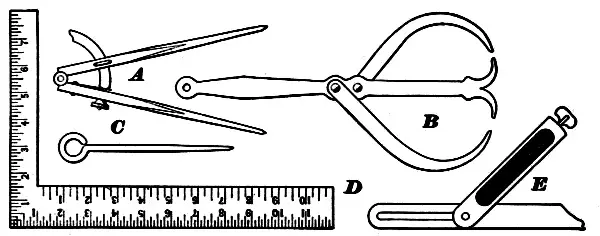 Illustration from the original book