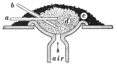 Illustration from the original book