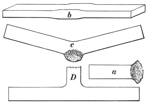 Illustration from the original book
