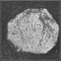 Illustration from the original book