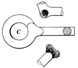 Illustration from the original book