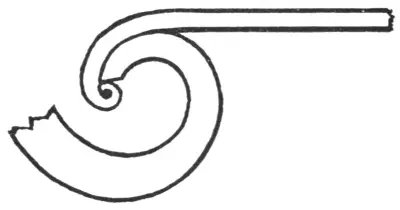 Illustration from the original book
