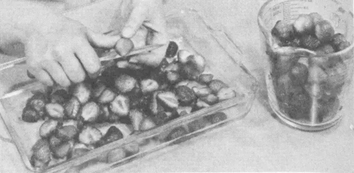 Illustration from the original book