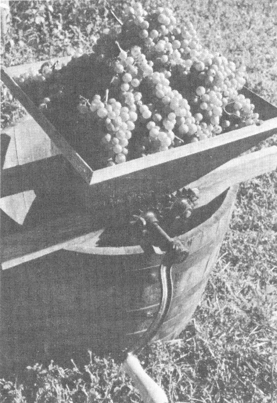 Illustration from the original book