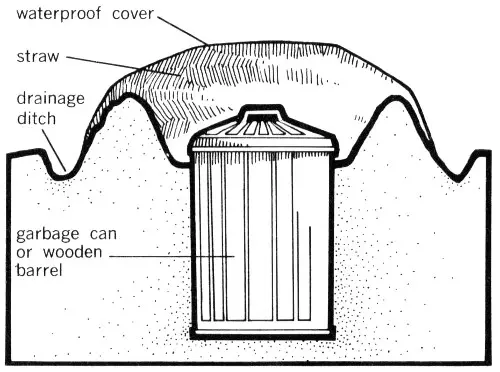 Illustration from the original book