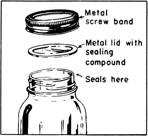 Illustration from the original book
