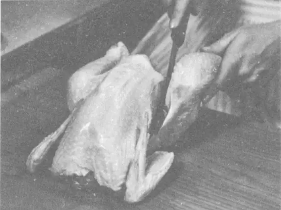 Illustration from the original book