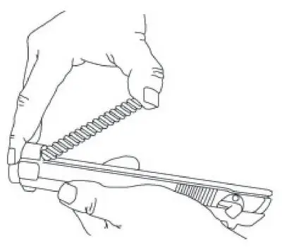 Illustration from the original book